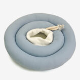 DOG ELIZABETHAN COLLAR03