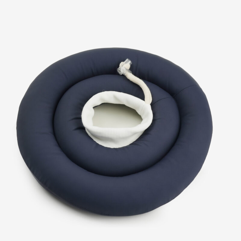 DOG ELIZABETHAN COLLAR07 DOG ELIZABETHAN COLLAR07