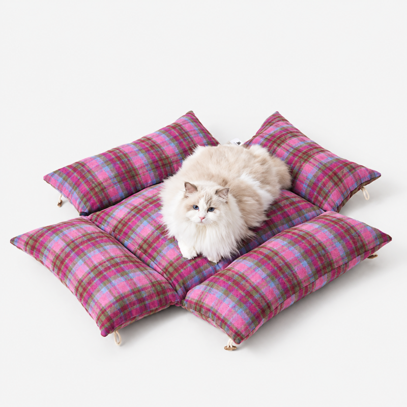 cat bed 3