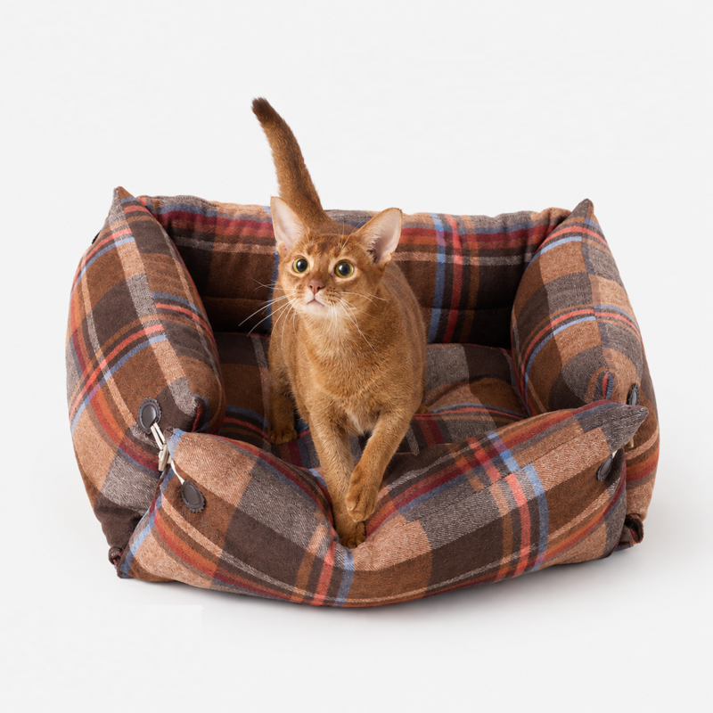 cat bed