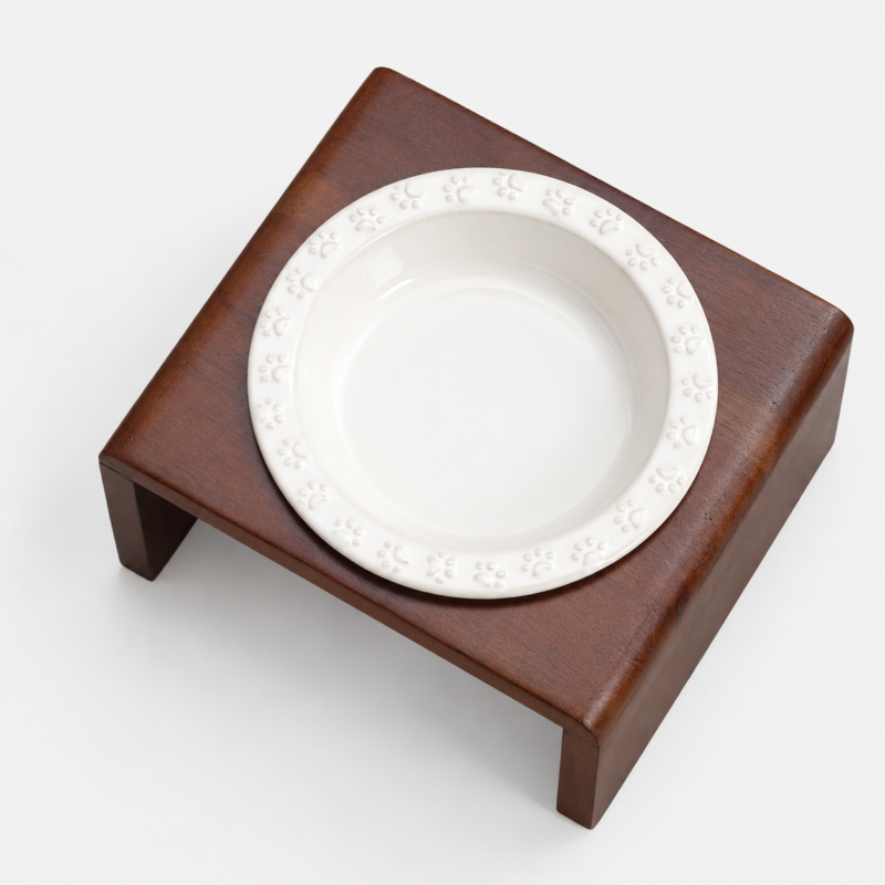 cat bowl 1 cat bowl 1