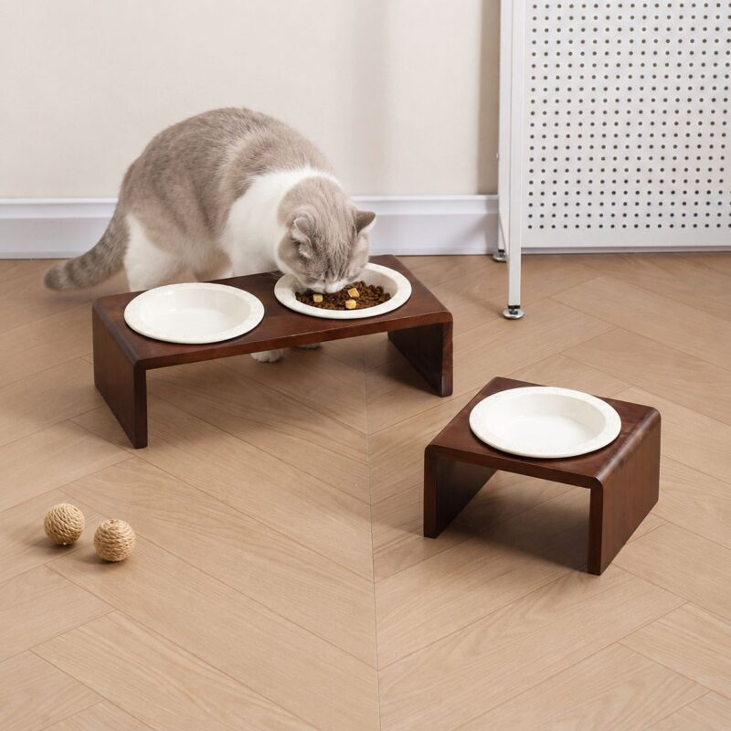 cat bowl scene cat bowl scene