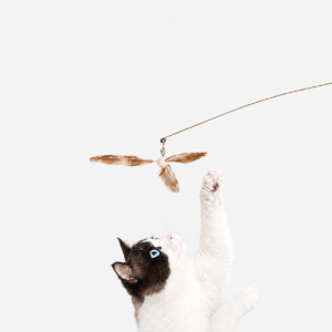 Bamboo Dragonfly Cat Wand