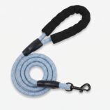 dog leash