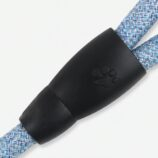 dog leash1