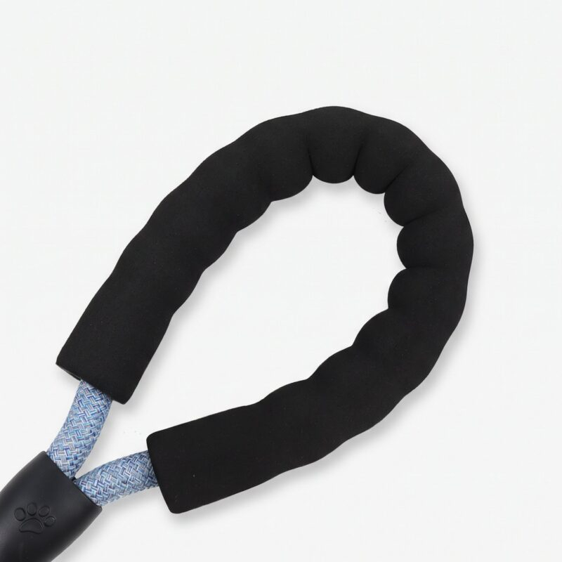 dog leash2