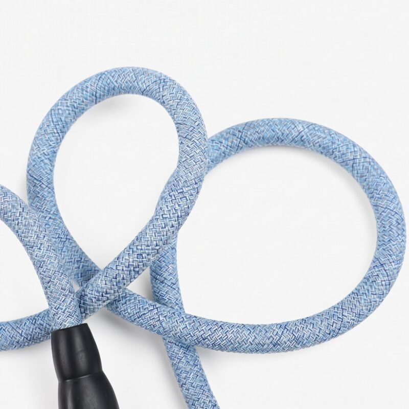 dog leash4