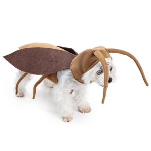 Insect-Themed Dog Costume