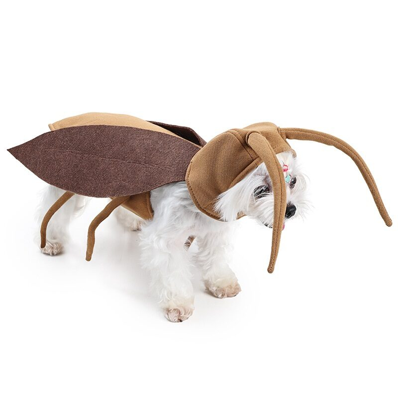 dog_costume_target_beige_background